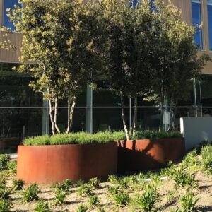 dc-exterior-Plantenbak cortenstaal ronde plantenbakken