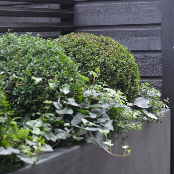 dc-exterior-Plantenbak-polyester-vierkant-plantenbakken-grijs